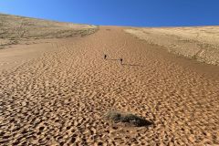 NAM-035c_NAM_20250529-094050_BS_web