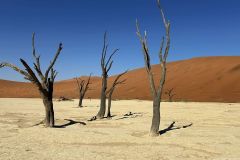 NAM-037_NAM_20250515-103049_BS_web