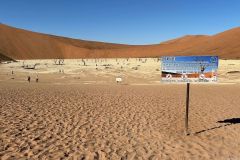 NAM-037b_NAM_20250529-102526_BS_web