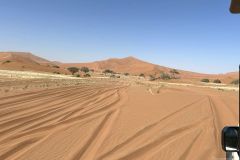 NAM-038_NAM_20250515-115205_BS_web