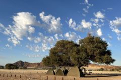 NAM-052_NAM_20250516-080727_BS_web