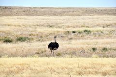 NAM-061_NAM_20250516-125850_EB_web