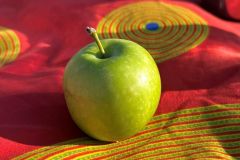 NAM-070_NAM_20250517-084515_BS_web