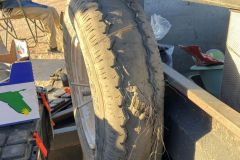 NAM-070a_NAM_20250531-082348_BS_web