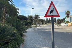 NAM-079_NAM_20250517-161301_BS_web