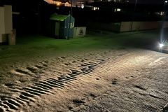 NAM-083_NAM_20250517-213855_BS_web