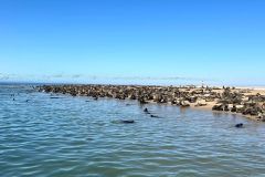 NAM-083d_NAM_20250601-105652_BS_web