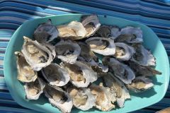 NAM-084a_NAM_20250518-113437_BS_web