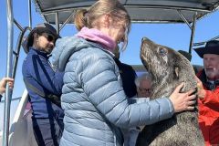 NAM-084d_NAM_20250601-095344_BS_web