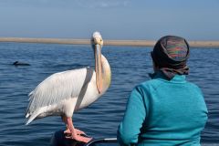 NAM-087_NAM_20250518-105951_EB_web