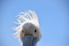 NAM-089_NAM_20250518-110347_EB_web