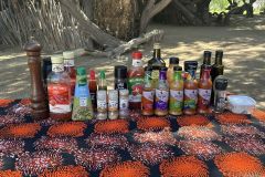 NAM-091b_NAM_20250518-144217_BS_web