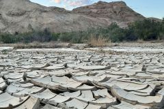 NAM-096_NAM_20250519-073318_BS_web