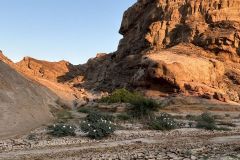 NAM-097c_NAM_20250602-075929_BS_web