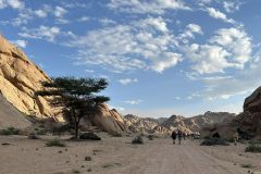 NAM-099_NAM_20250519-084017_BS_web