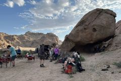 NAM-100_NAM_20250519-084505_BS_web