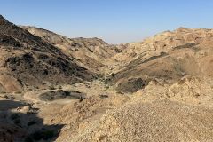 NAM-102a_NAM_20250602-095642_BS_web