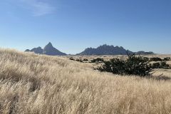 NAM-119_NAM_20250520-160703_BS_web