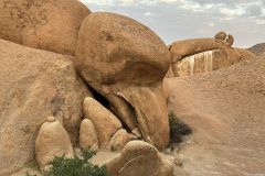 NAM-128d_NAM_20250604-075047_BS_web