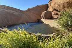 NAM-133_NAM_20250521-091824_BS_web