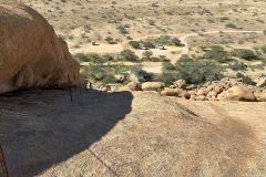 NAM-137_NAM_20250521-110454_BS_web