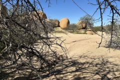 NAM-138_NAM_20250521-115757_BS_web