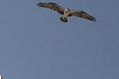 160_2019-12-09_10-52-29_029_PRS
