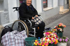 014_Rumaenien24_2024-09-18.11-25-46_JG