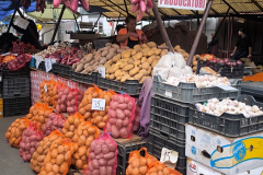 019_Rumaenien24_2024-09-18.11-43-26_JG