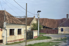 023_Rumaenien24_2024-09-18.15-31-39_BS