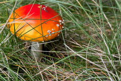 044_Rumaenien24_2024-09-19.40-38-37_EB