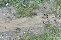 068_Rumaenien24_2024-09-20.17-45-24_BS