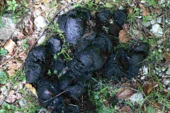 069_Rumaenien24_2024-09-20.17-45-25_MK