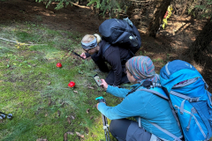 089_Rumaenien24_2024-09-21.14-42-27_EB