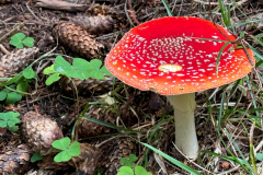 090_Rumaenien24_2024-09-21.14-42-28_EB