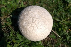 107_Rumaenien24_2024-09-22.16-03-11_FK