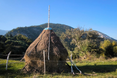 110_Rumaenien24_2024-09-22.16-55-07_JG