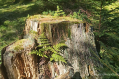 122_Rumaenien24_2024-09-23.11-51-01_AS