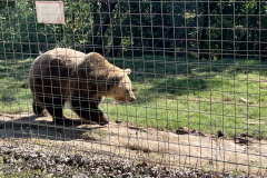 130_Rumaenien24_2024-09-24.11-39-29_BS