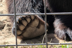 132_Rumaenien24_2024-09-24.11-56-25_JG