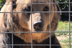 133_Rumaenien24_2024-09-24.11-57-33_JG