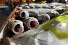 Tuerkei25_Tuerkei25_20251026-184613_BS_web