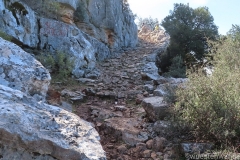 Tuerkei25_Tuerkei25_20251027-123653_AH_web