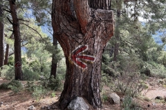 Tuerkei25_Tuerkei25_20251027-125352_BS_web