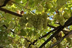 Tuerkei25_Tuerkei25_20251027-134915_BS_web