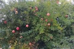 Tuerkei25_Tuerkei25_20251027-164241_HS_web