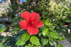 Tuerkei25_Tuerkei25_20251027-164242_BS_web