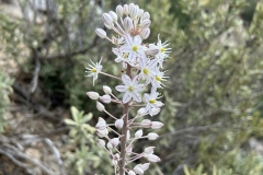 Tuerkei25_Tuerkei25_20251028-103703_BS_web