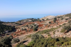 Tuerkei25_Tuerkei25_20251029-093524_MS_web