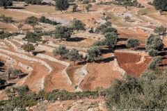 Tuerkei25_Tuerkei25_20251029-093525_TP_web